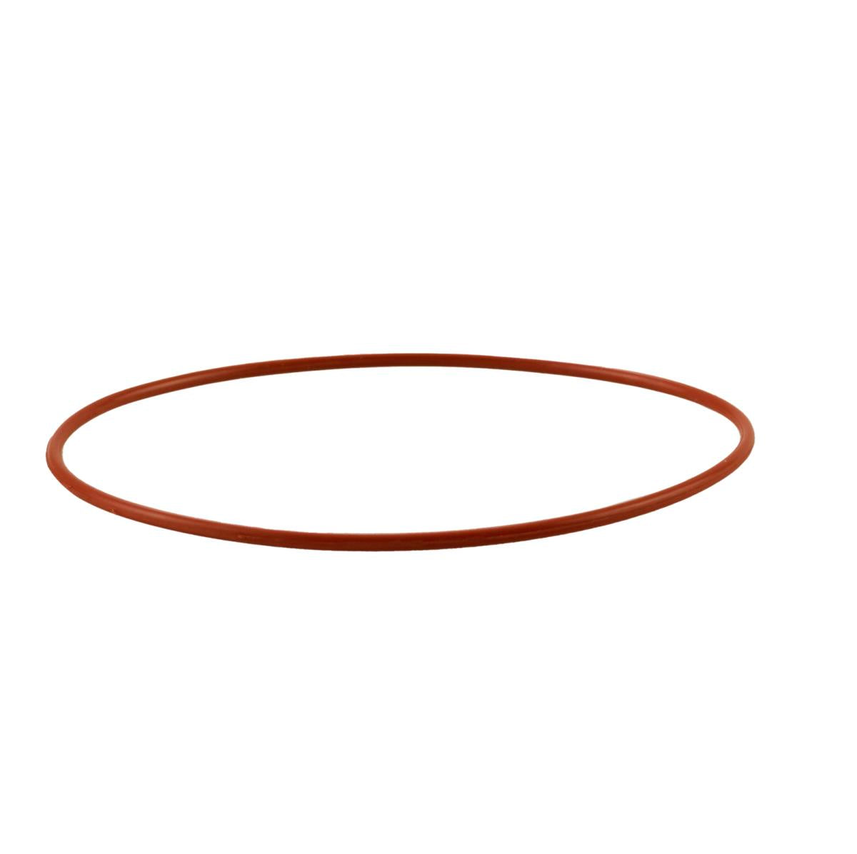 Sea-Doo Oil Filter O-Ring Kit